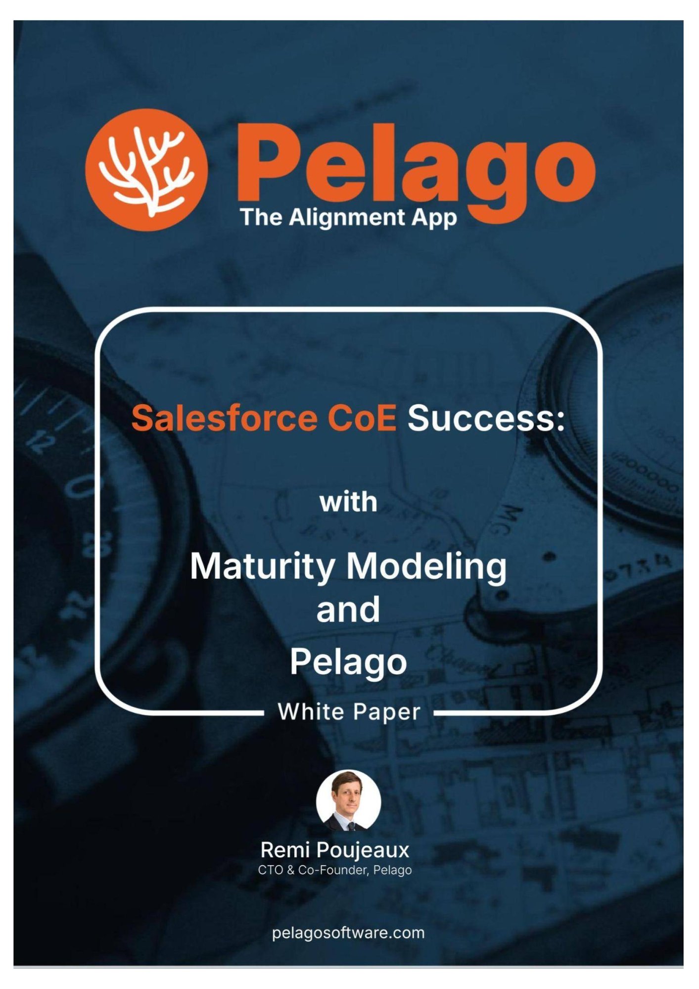 Salesforce CoE Success white paper